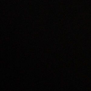 Meet your Posher, Sylvia